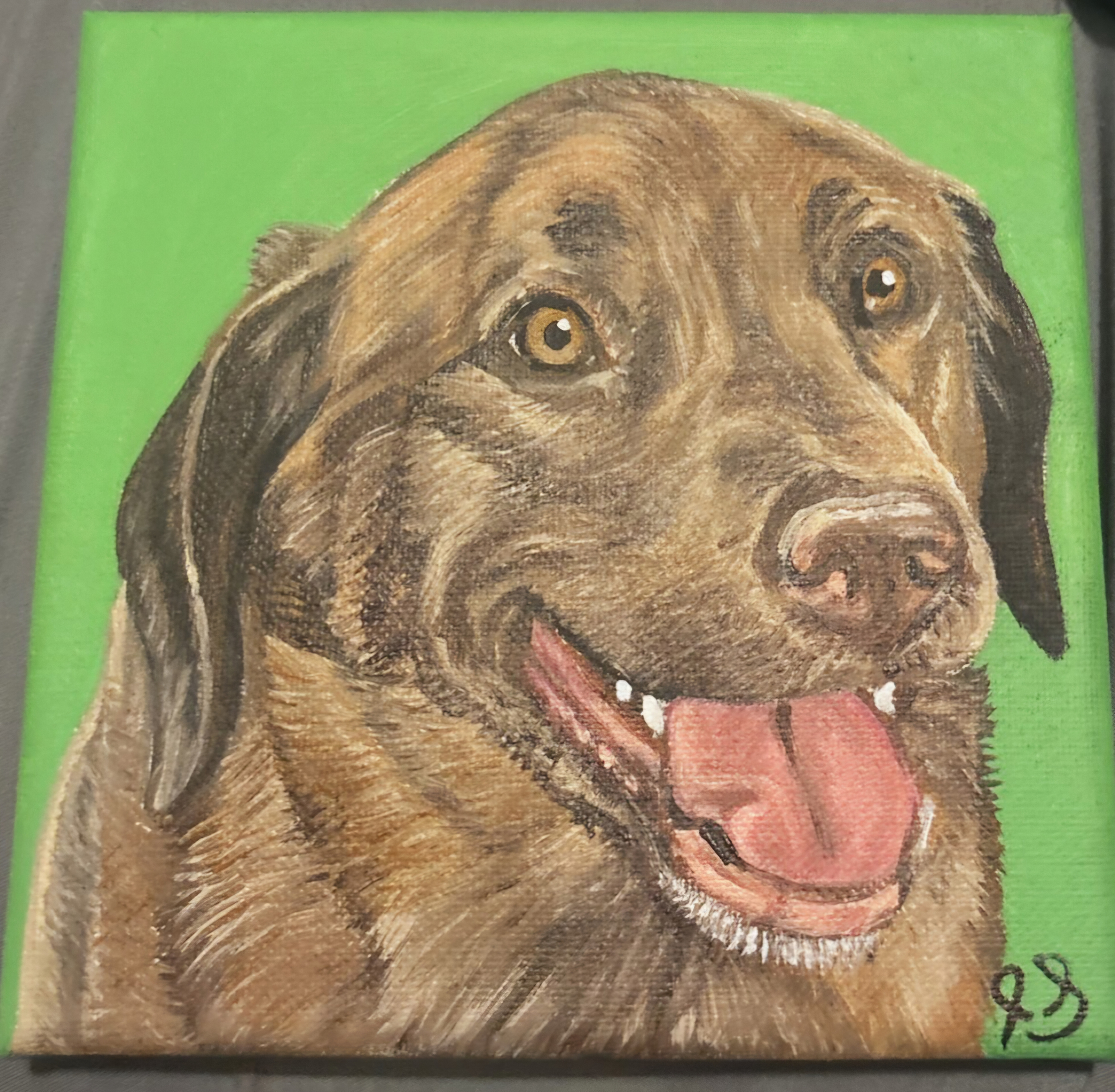 Dog Portrait